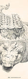 Philippine Deities and Creatures Bookmarks (20 pcs)